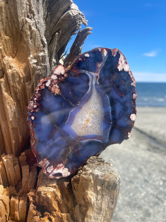 Blue Flower Agate Slab